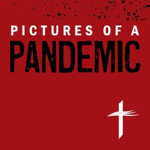 Pictures of a Pandemic