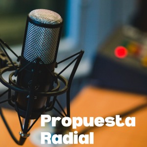 Propuesta Radial