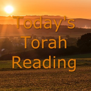 Today&apos;s Torah Reading with Nita Luttrell